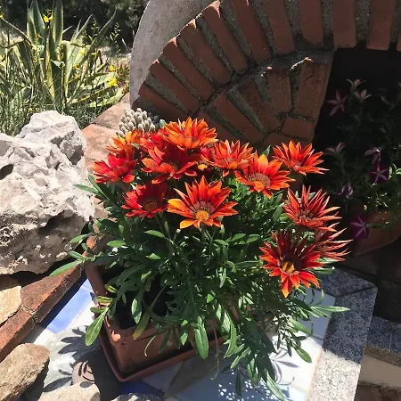 La Casa Dei Nonni - Apartamento *