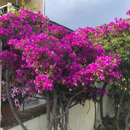 La Casa Dei Nonni - Apartamento Cala Gonone